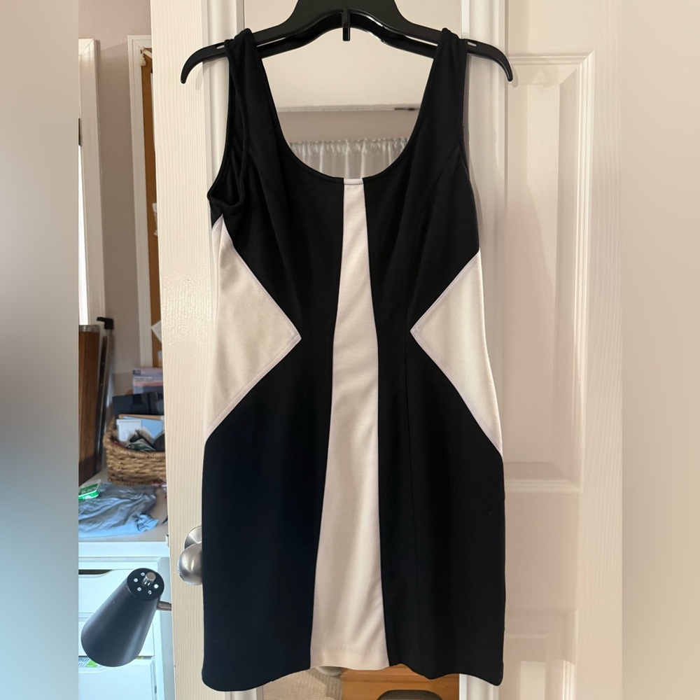 Ark & Co Black and White Mini Dress